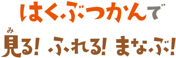 はくぶつかんで見る！ふれる！まなぶ！