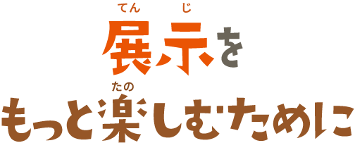 展示をもっと楽しむために