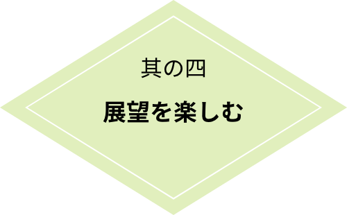 楽しみ方其の四