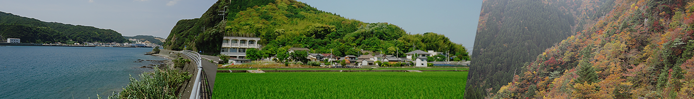 地域連携