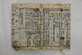 保存修復講座　第2回　虫とカビから文化財を守る－博物館の最前線－
